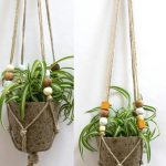 haging indoor plants ornament with fired-clay pot