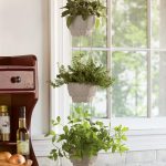 three vertical arrangements of hanging indoor plants ornaments