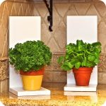 fresh tropical unique indoor plant design on corange yellow pot with white base on marble floor with wainscotting