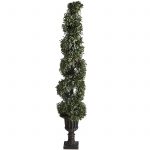 Long And Slim Boxwood Topiary