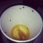 fruit flies trap with foam cup and plastic wrap and vinegar