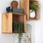 Wall mounted shelves for interior garden which are made of unused wine crates