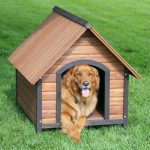 awesome nice adorable cool amazing fantastic dog house idea with wooden small house concept with realistic design with small entrance