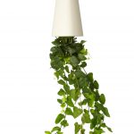 up-side-down decorative plant style with white pot hang on house ceiling