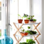 white panel plant rack with wood supports a giant beautiful bottle