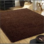 Large brown bathroom rug