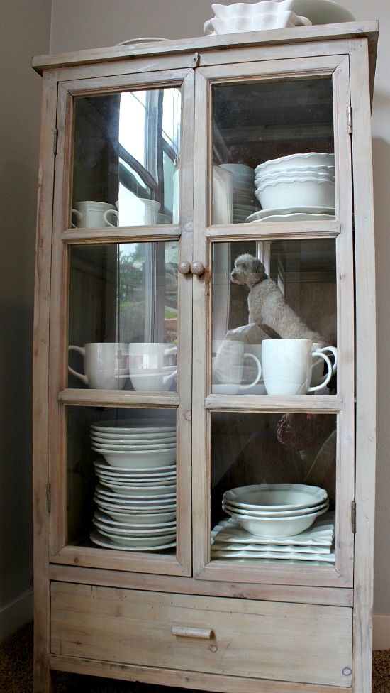 Decorative Storage Cabinets with Glass Doors You Should ...