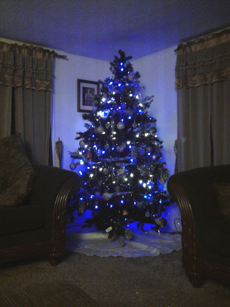 Blue And White Christmas Lights – HomesFeed
