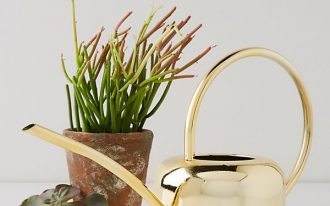 golden watering can with longer fountain terracotta plant pot