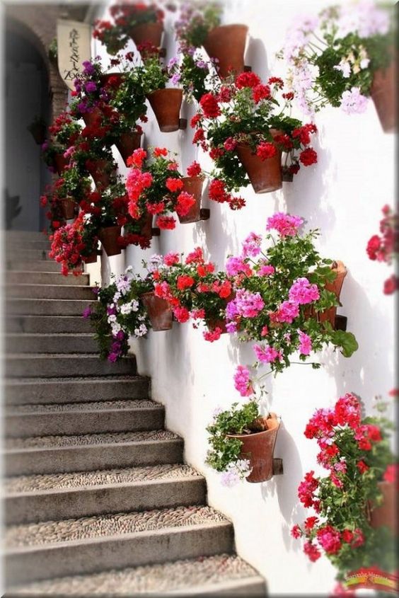 colorful flowers on wall mounted clay pots alongside of stairway