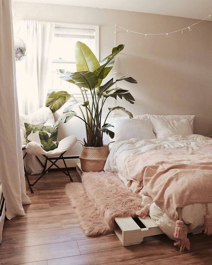 bright and airy bedroom with ultra soft pink blanket white bed linen ultra soft shag rug platform bed frame corner chair with white cushion tropical houseplant on woven planter