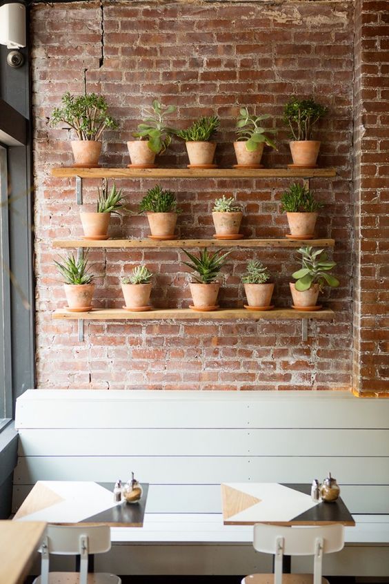 interior cafe with eco friendly concept red brick walls with series of greenery on pot